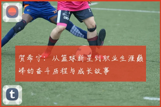 贺希宁：从篮球新星到职业生涯巅峰的奋斗历程与成长故事
