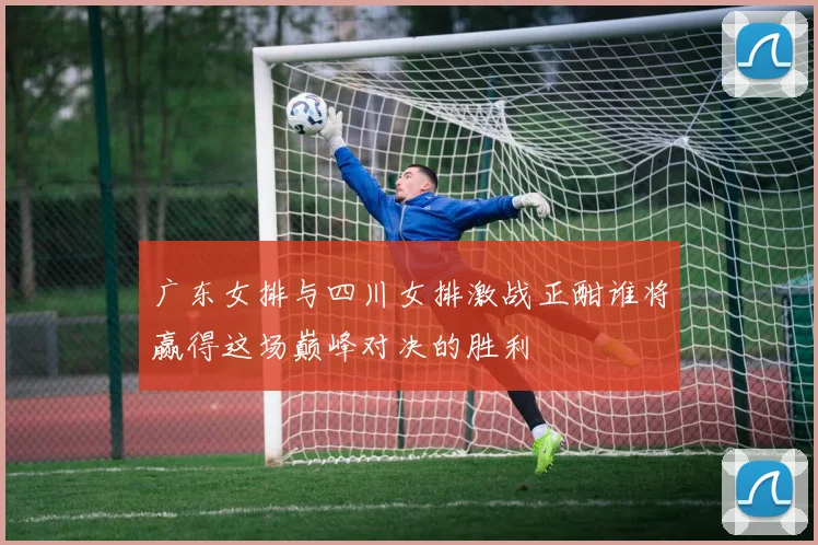 广东女排与四川女排激战正酣谁将赢得这场巅峰对决的胜利