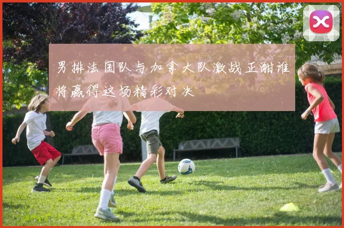 男排法国队与加拿大队激战正酣谁将赢得这场精彩对决
