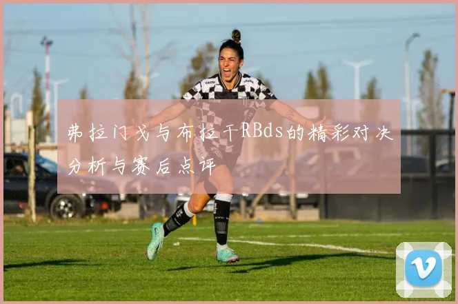 弗拉门戈与布拉干RBds的精彩对决分析与赛后点评
