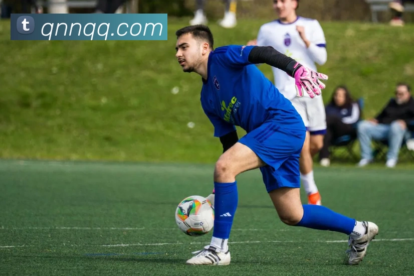 DB电竞服务体系